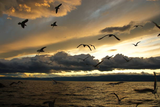 istock Early morning on the big lake. 1070379372