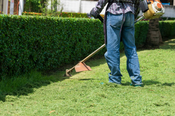 istock the gardener is mowing grass with string lawn mower. 1070379638
