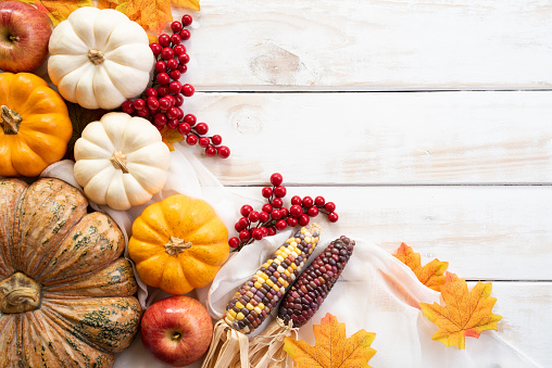 A close up of a cornucopia filled with festive gourds and apples for a Thanksgiving celebration photographed on an orange background.