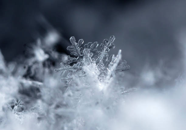 istock natural snowflakes on snow 1070392490