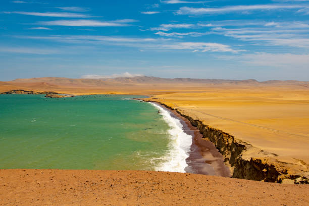 istock Paracas National Reserve 1070393258