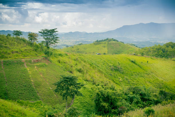 istock Panorama landscape of  green mountain 1070400992