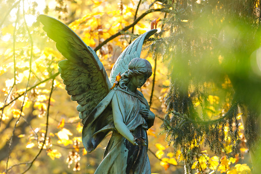 Weathered old copper angel statue at the Melaten Graveyard, Cologne, Germany