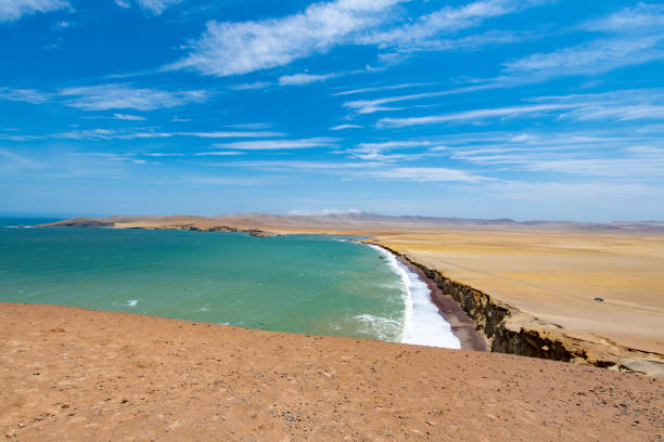 istock Paracas National Reserve 1070412374