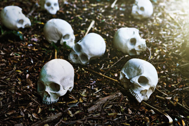 istock Large group of skulls on forest floor. Mass murder, genocide or war 1070412432