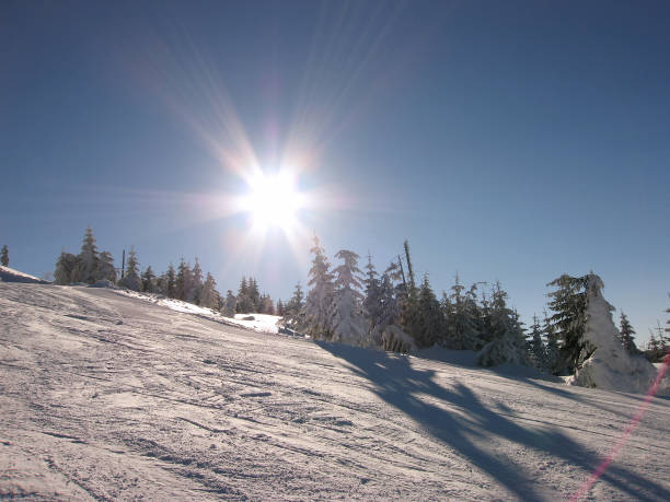 pista da sci vuota con alberi innevati contro il sole, cielo cristallino blu - european alps cold mountain range clear sky foto e immagini stock