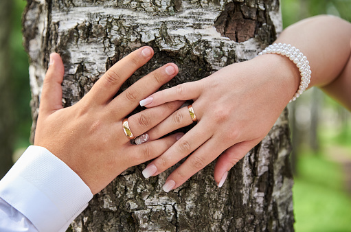 Hands of newly married couple lying on trunk of birch, close up