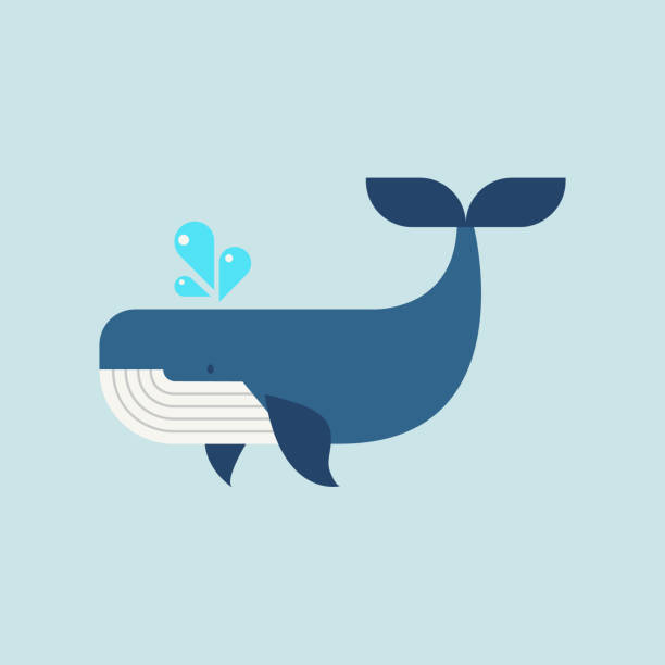 ilustraciones, imágenes clip art, dibujos animados e iconos de stock de ballena en estilo plano - shark animal blue cartoon