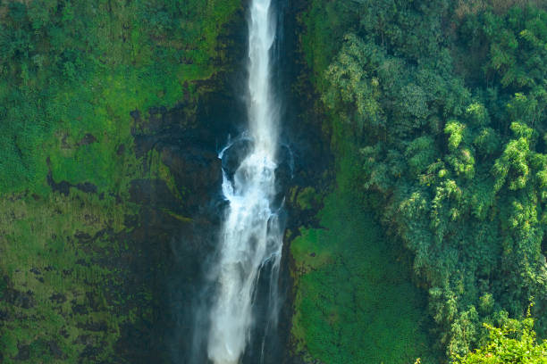 istock Tad Fane Waterfall ,Pakse ,South Lao 1070469856