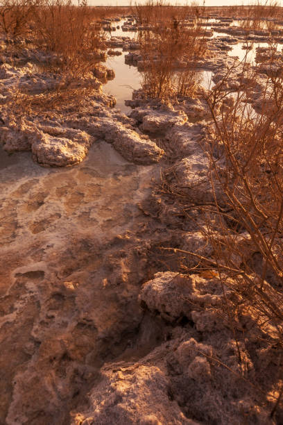 istock nature in israel 1070469886