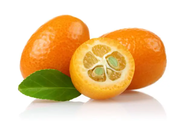 Photo of Fresh whole and half kumquat fruit with leaf