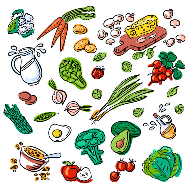 Set of various doodles, hand drawn rough simple sketches of different kinds of vegetables. Natural, organic food. Set of color various doodles, hand drawn quick simple sketches of different kinds of vegetables greens. Vector freehand illustration isolated on white background. salad fruit lettuce spring stock illustrations