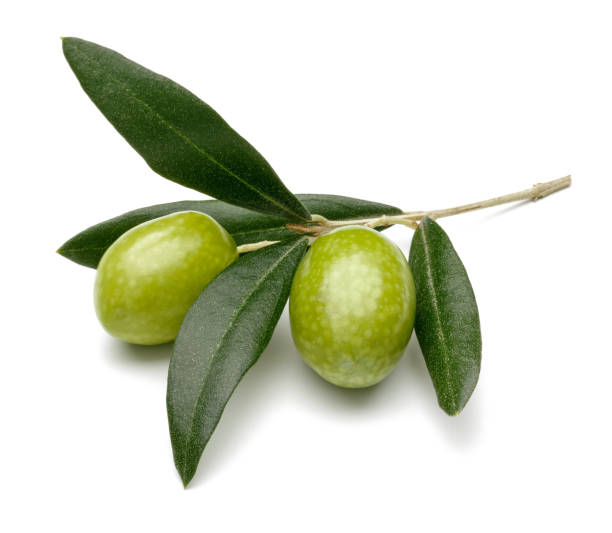 istock Green olives with leaves 1070470990