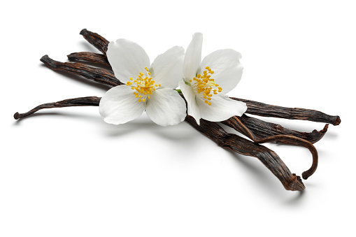 Vanilla sticks with white jasmine flowers isolated on white background