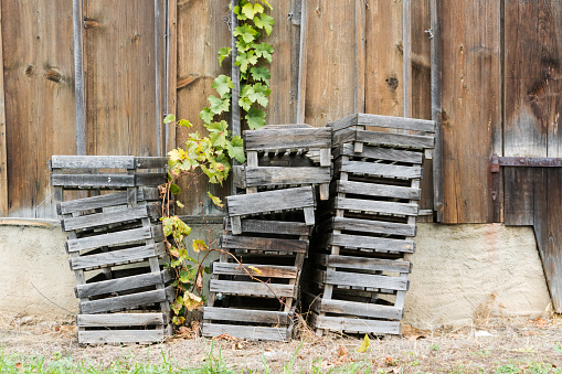 horizontal view of old wooden crates used for picking grapes in vineyards stacked outside an old barn