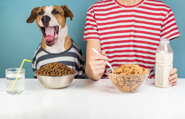 istock Sleepy dog and human having breakfast together 1070479282