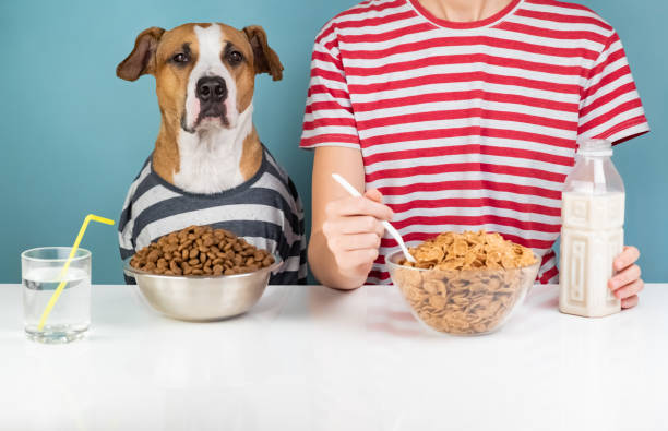 istock Hungry dog and human having breakfast together 1070479294