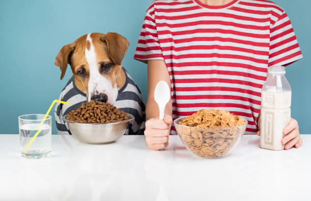 Cute dog and human having breakfast together
