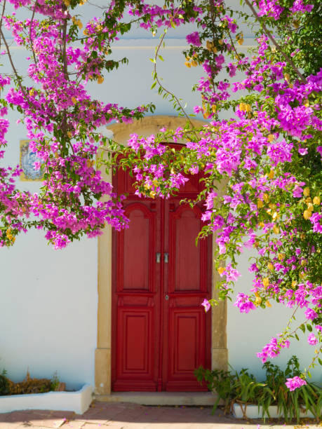 200+ Bougainvillea Doorway Stock Photos, Pictures & Royalty-Free Images ...