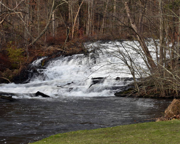 The Beauty of the Falls