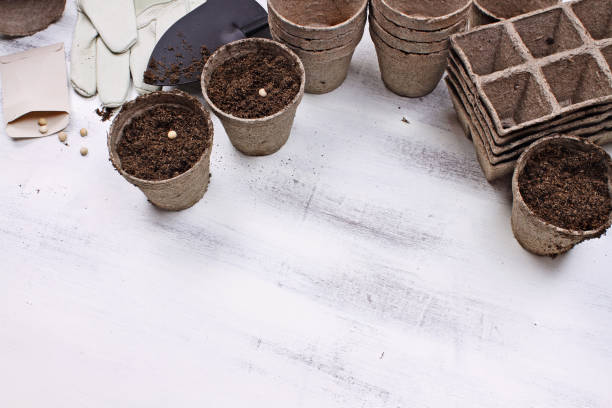 istock Gardening Tools and Planting Seeds 1070493390
