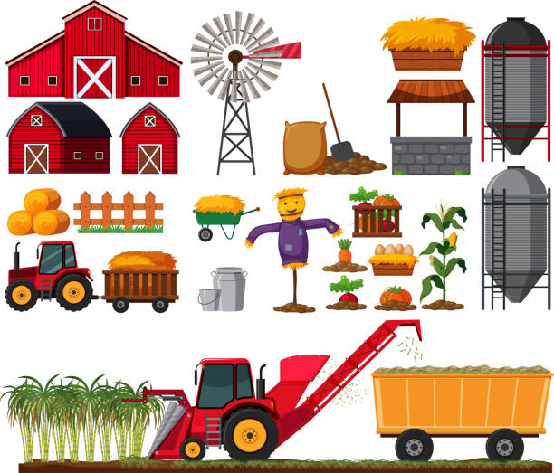 Set of sugar cane farm element Set of sugar cane farm element illustration tractor illustrations stock illustrations