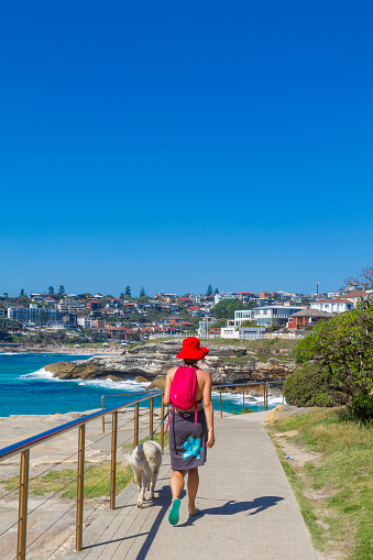 A young backpacker tourist woman taking a walk with her dog in Bondi Beach pathway in Sydney, New South Wales, Australia