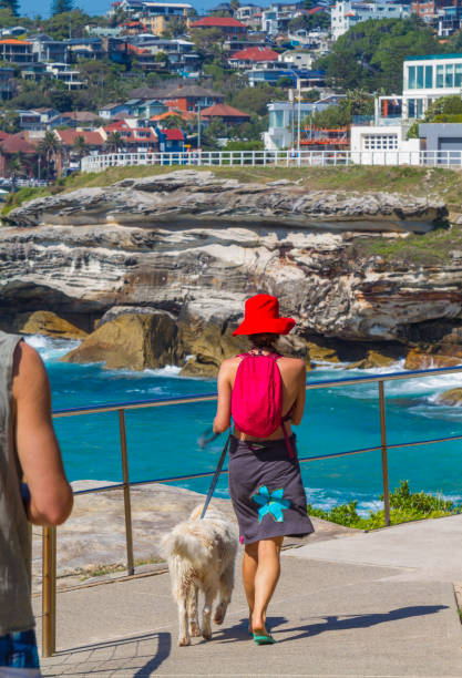 A young backpacker tourist woman taking a walk with her dog in Bondi Beach pathway in Sydney, New South Wales, Australia