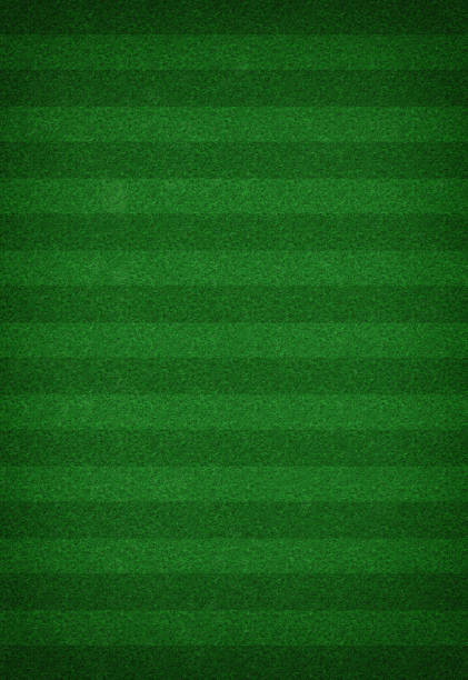 istock Soccer field stadium, Green grass stripes background 1070511654