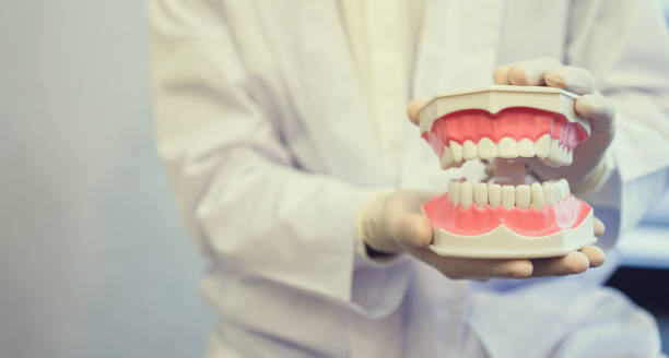 istock close up dentist hand holding teeth model denture for explain correct of treatment inside oral and give information of dental knowledge to patient at clinic office , dentistry medical concept 1070513628