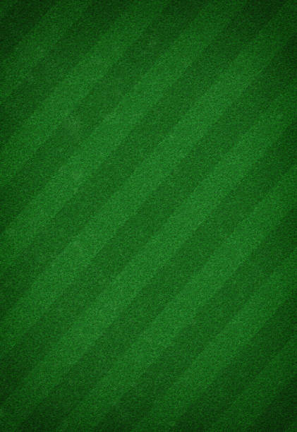 istock Soccer field stadium, Green grass stripes background 1070516008