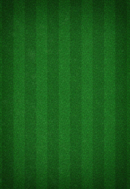 istock Soccer field stadium, Green grass stripes background 1070517170