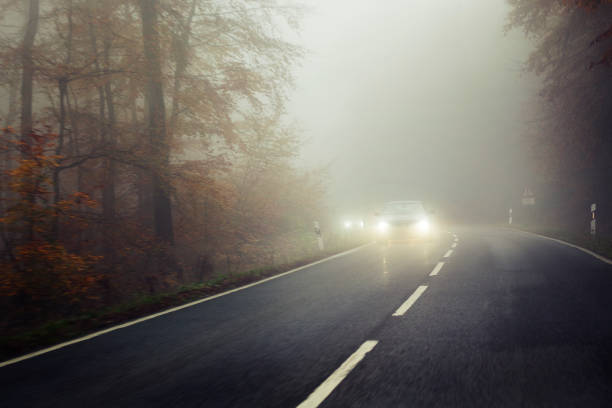 istock Autumnal road through forest - dense fog 1070519716