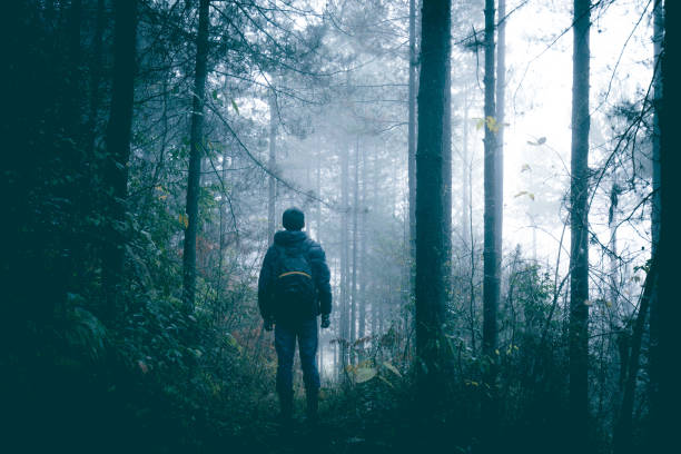 istock Traveler in misty forest 1070521798