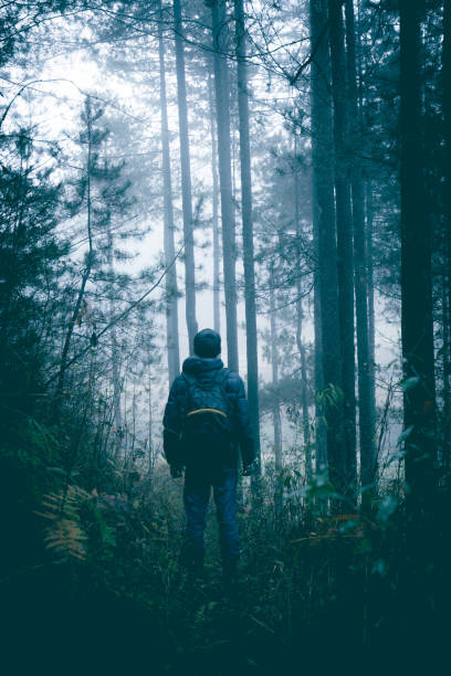 istock Traveler in misty forest 1070523186