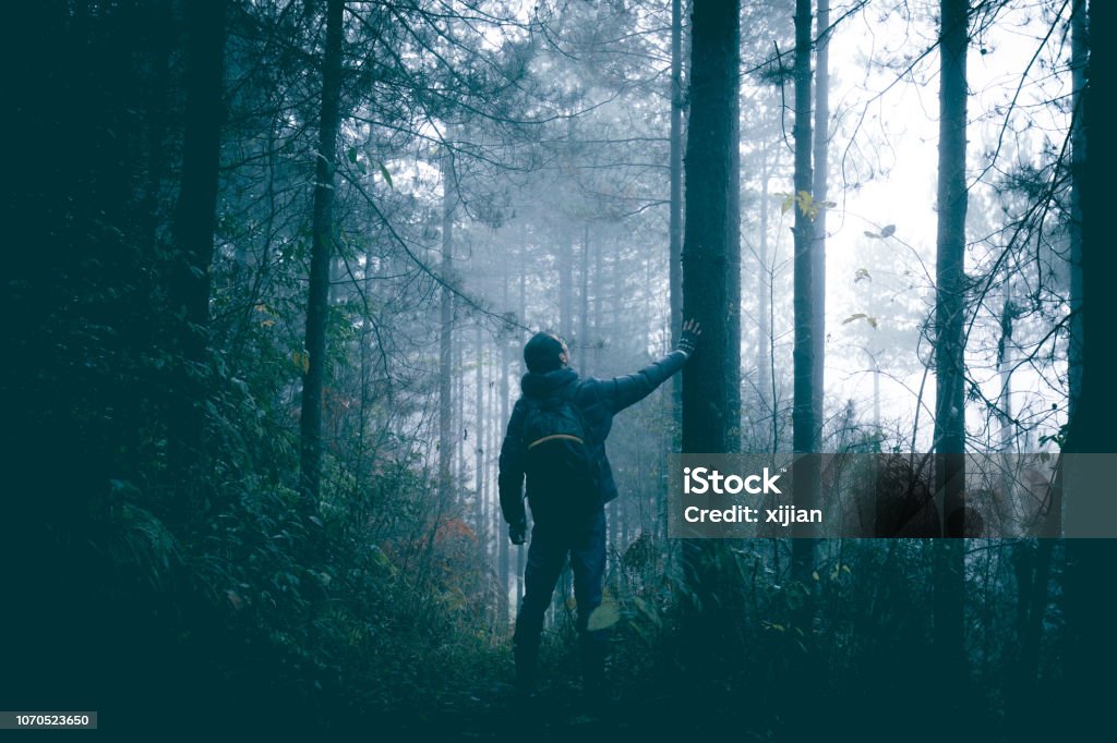 Man travel alone on foggy forest Lost Stock Photo