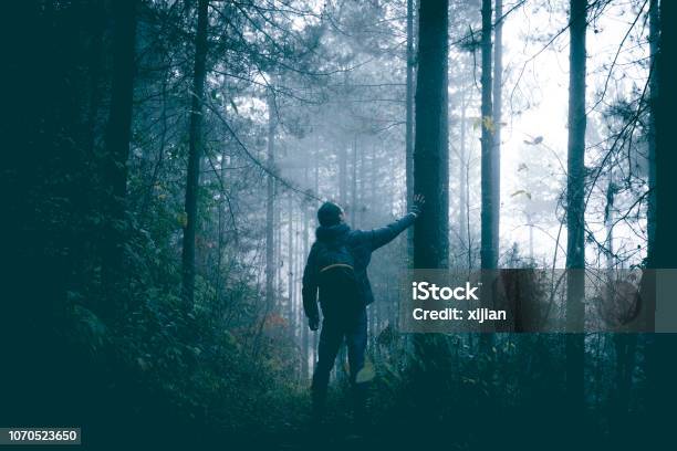 Man Travel Alone On Foggy Forest Stock Photo - Download Image Now - Lost, Woodland, Hiking