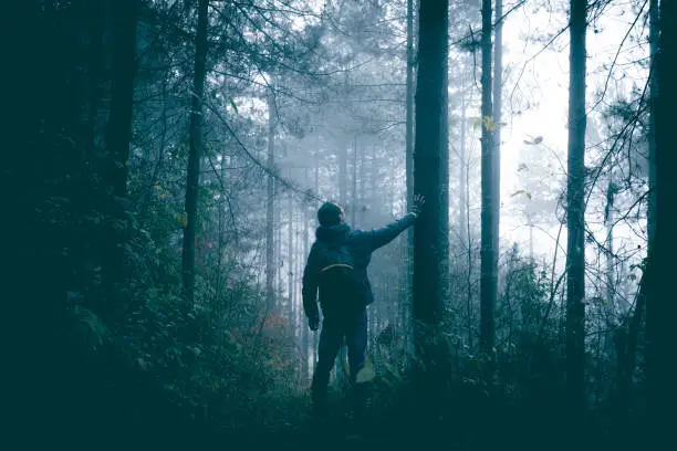 Photo of Man travel alone on foggy forest