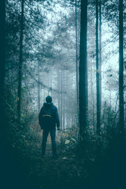 istock Man travel alone on foggy forest 1070530048