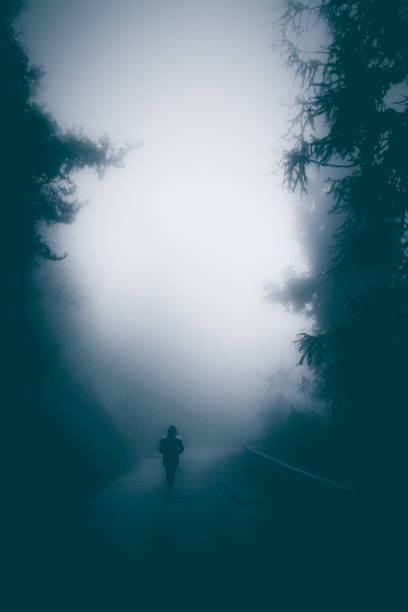 young woman walking on foggy road lonely - lonely tree fotos imagens e fotografias de stock