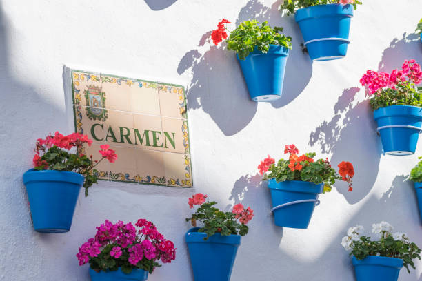 Fantastic sunny Spanish street named Carmen with flowers in blue pots. Andalusia. Close-up Fantastic sunny Spanish street with flowers in blue pots. Andalusian identity. Close-up carmona stock pictures, royalty-free photos & images