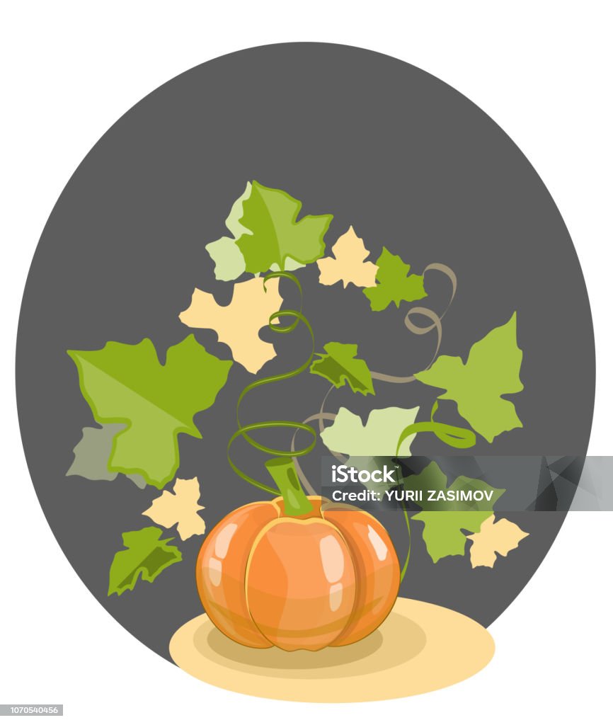 Pumpkin with leaves on a black background Pumpkin with leaves on a black background. Vector Agriculture stock vector
