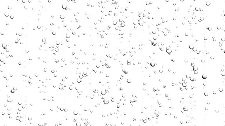 Animation of soda bubbles in water isolated on white background. Looping animation.