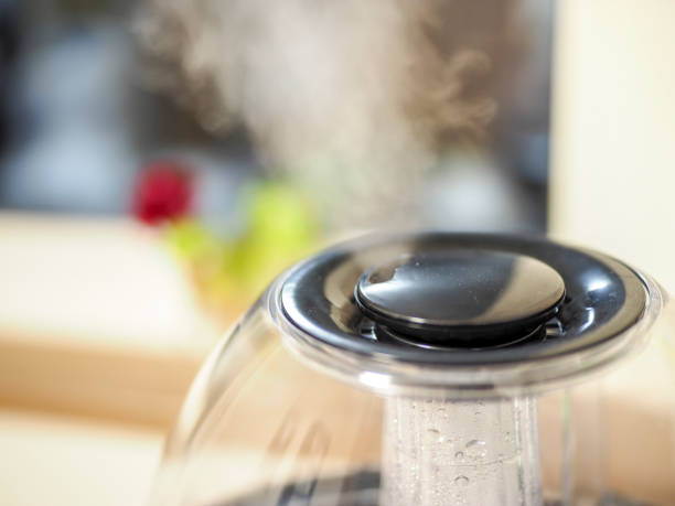 istock Humidifire steam in the room 1070553598
