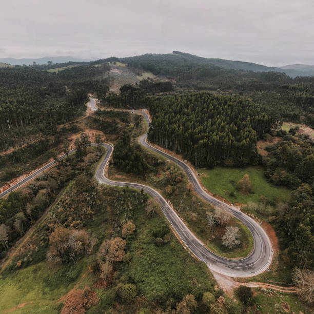 istock Road with curves as seen from above 1070557414