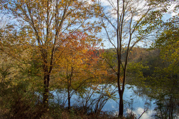 istock Little Mulberry Park, GA, Autumn Trees 1070567852