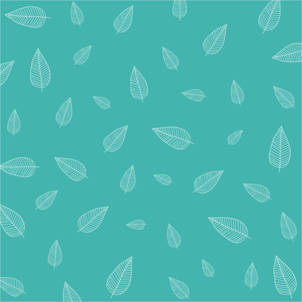 Cute white tree or leaf pattern on blue background in minimal and abstract style look so sweet for wallpaper and all design in botanicals idea. Vector art brush for environment and plants concept. Cute white tree or leaf pattern on blue background in minimal and abstract style look so sweet for wallpaper and all design in botanicals idea. Vector art brush for environment and plants concept. drawing of the how to draw floral pattern stock illustrations