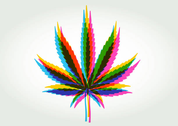 Cannabis or Marijuana Leaves Colourful silhouettes of Cannabis or Marijuana Leaves cannabis narcotic stock illustrations