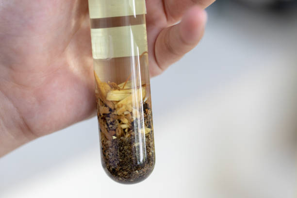 istock The study Separating by filtration and evaporation condensation the component substances from liquid mixture in Lab. 1070576098