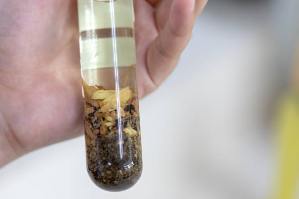 istock The study Separating by filtration and evaporation condensation the component substances from liquid mixture in Lab. 1070576156